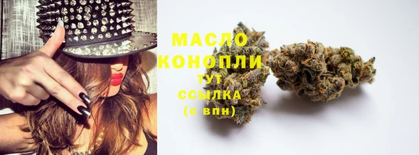 твердый Арсеньев