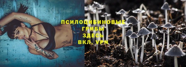 твердый Арсеньев