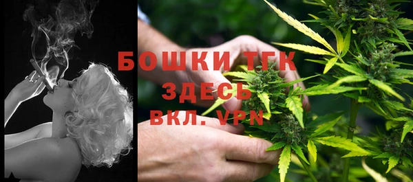 твердый Арсеньев