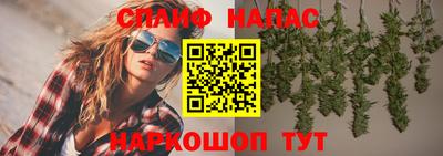 СК Апшеронск