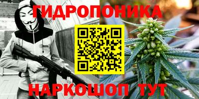 Альфа ПВП Беслан