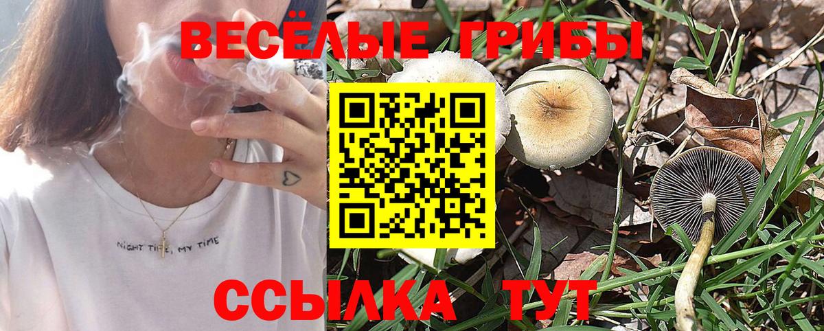 Псилоцибиновые грибы MAGIC MUSHROOMS  Вход с VPN  хочу наркоту  Белово  Галлюциногенные грибы Psilocybe 